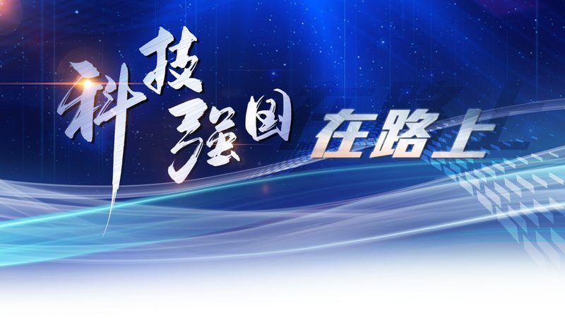 上海本地SAAS售后服务：关键考量因素与选择指南